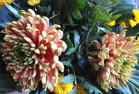 Herbstblumen